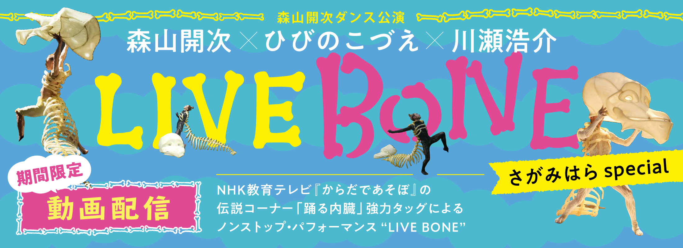 LIVE BONE動画配信