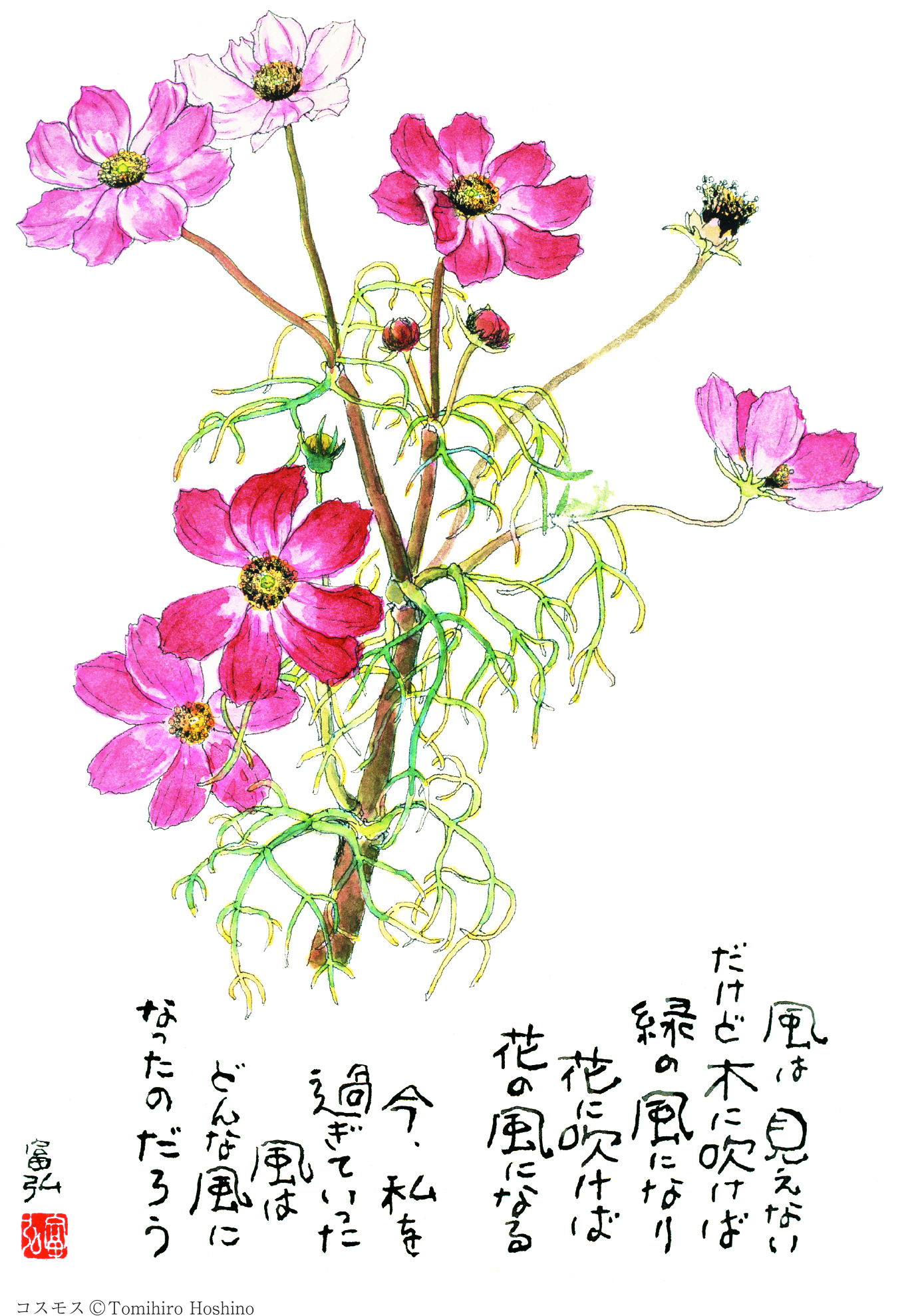 相模原 星野富弘 花の詩画展 相模女子大学グリーンホール